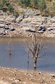 0035Lac de Guerledan